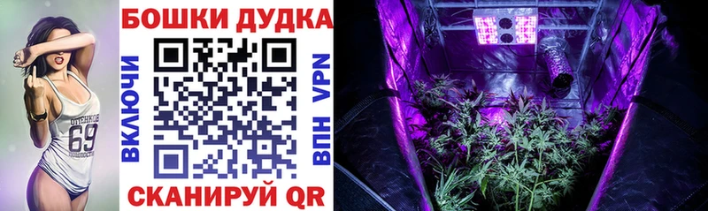 Наркотические вещества Дно Амфетамин Псилоцибиновые грибы МАРИХУАНА
